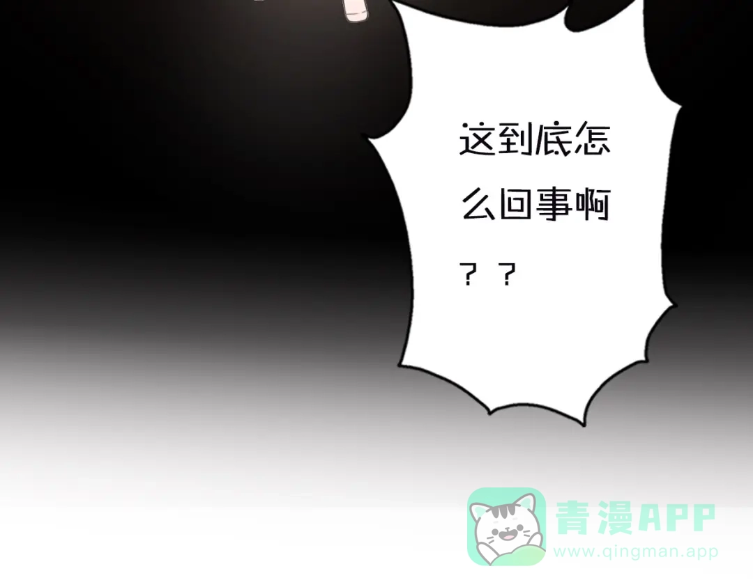 第195页