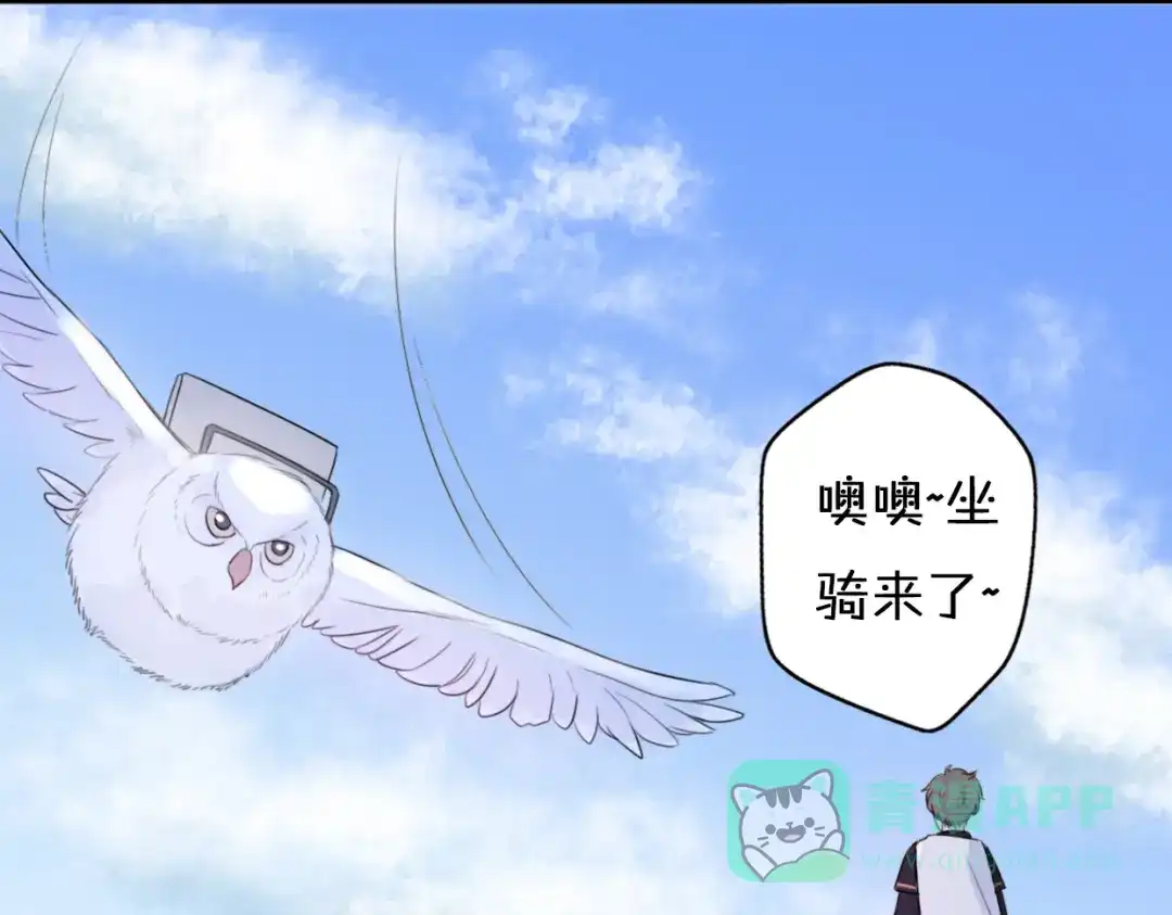 第171页