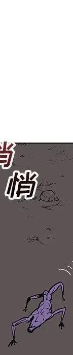 第439页