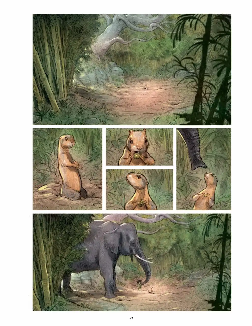 第47页
