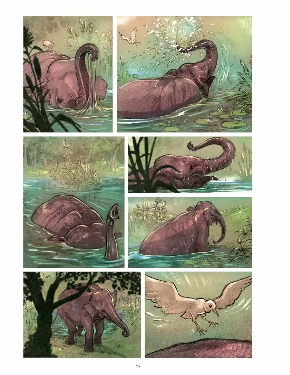 第54页