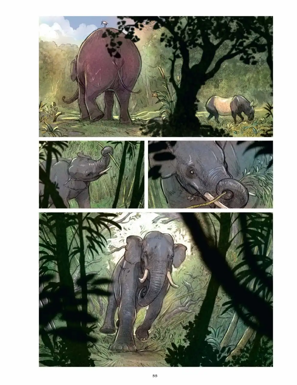 第55页