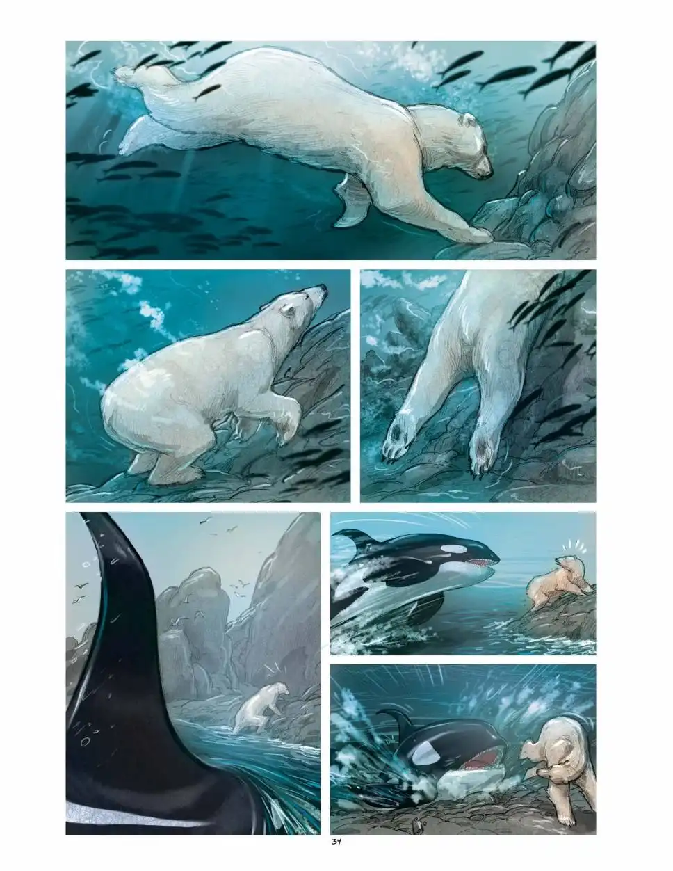 第34页