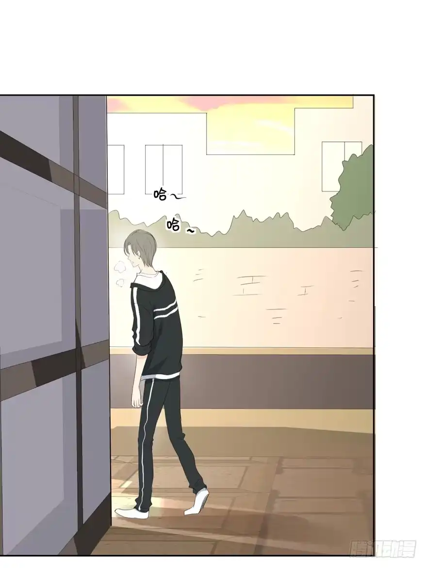 第43页