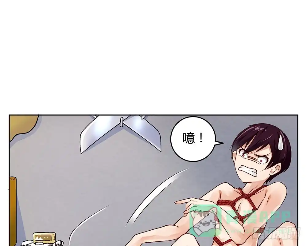 第41页