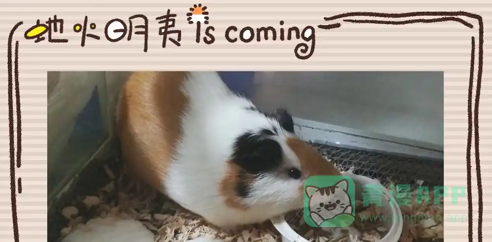 第131页