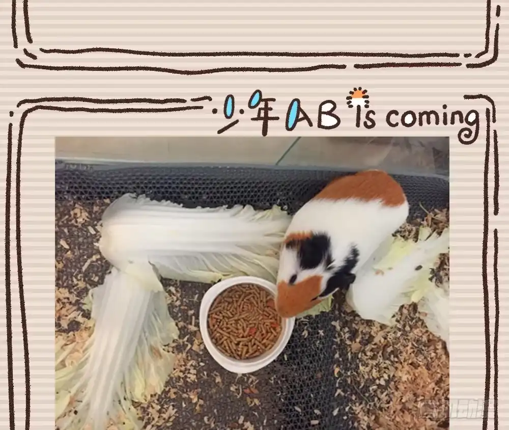 第98页