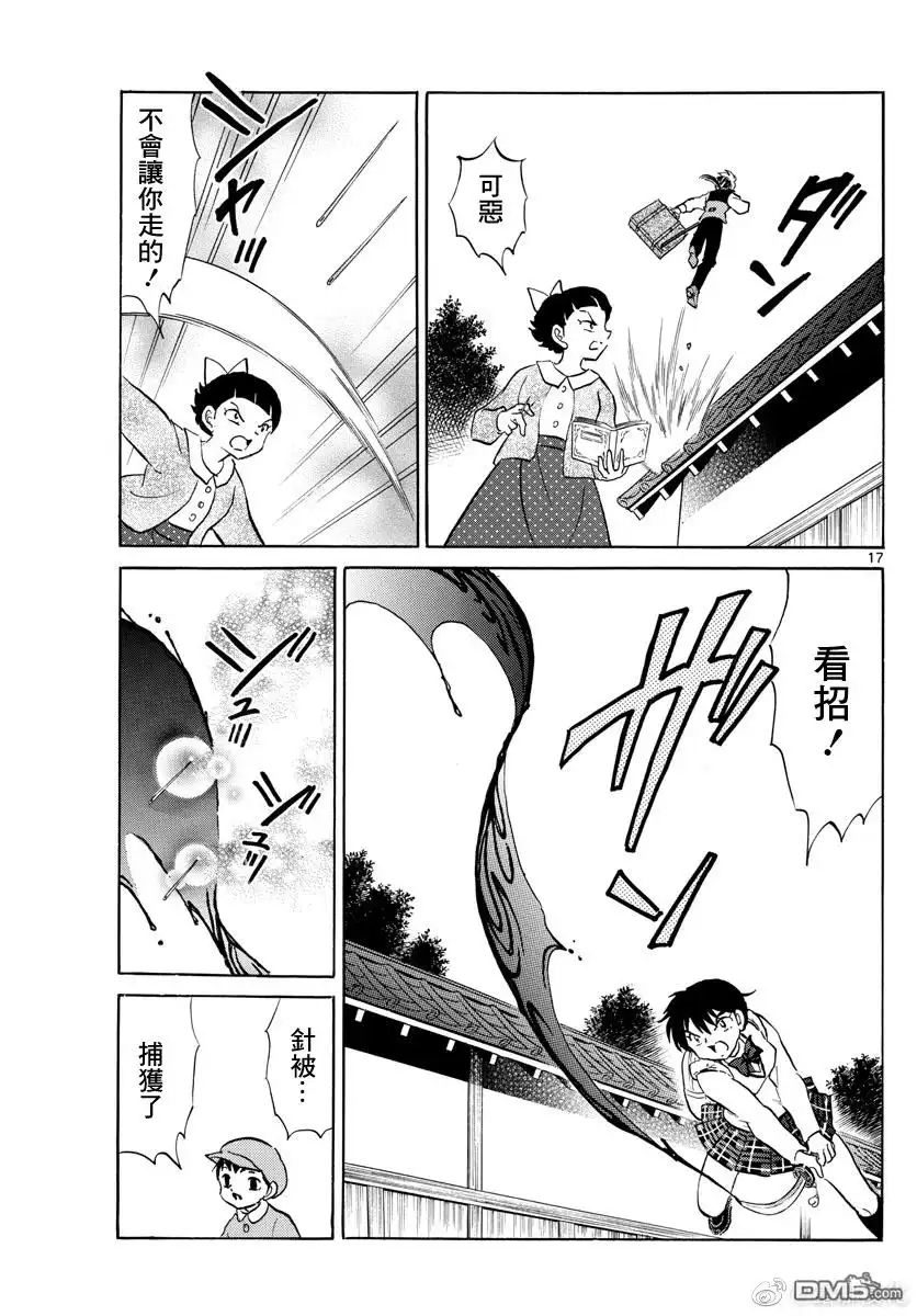 第17页
