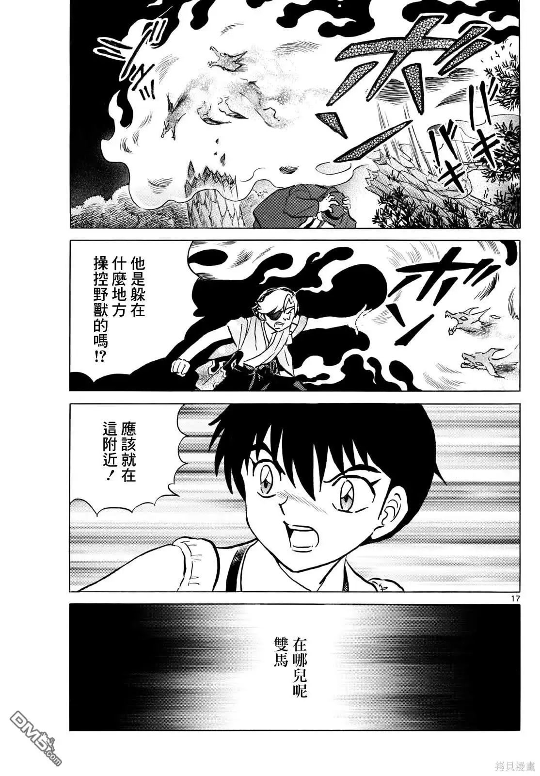 第17页