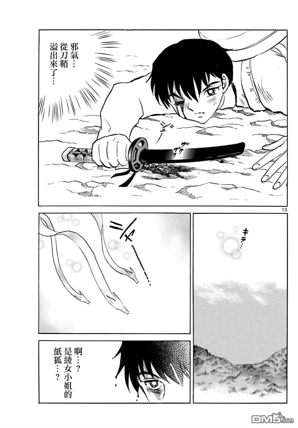 第13页