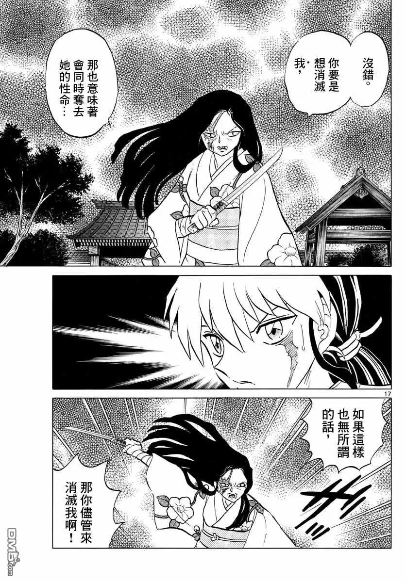 第17页