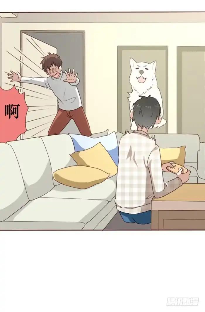 第32页