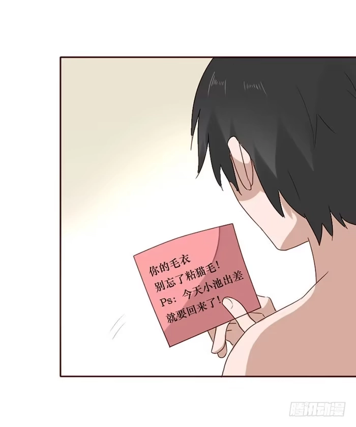第43页