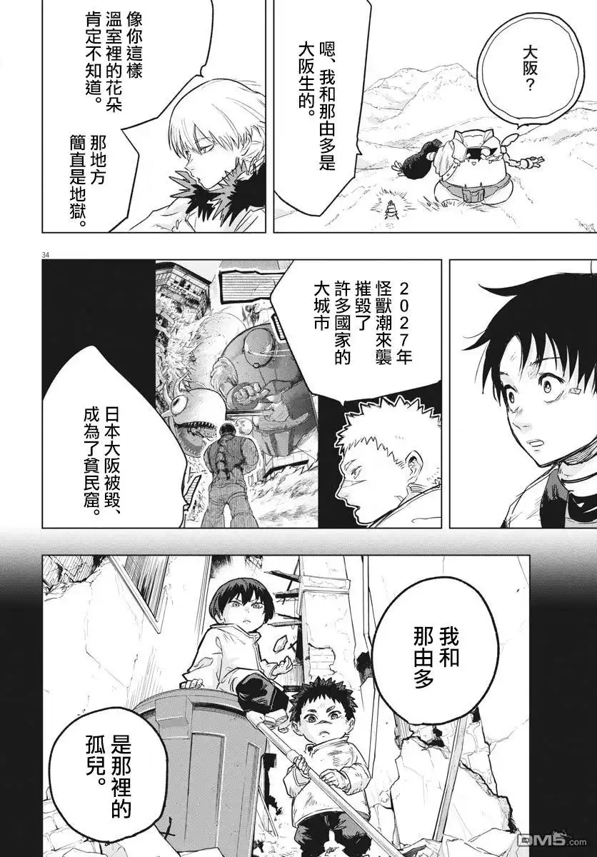第33页