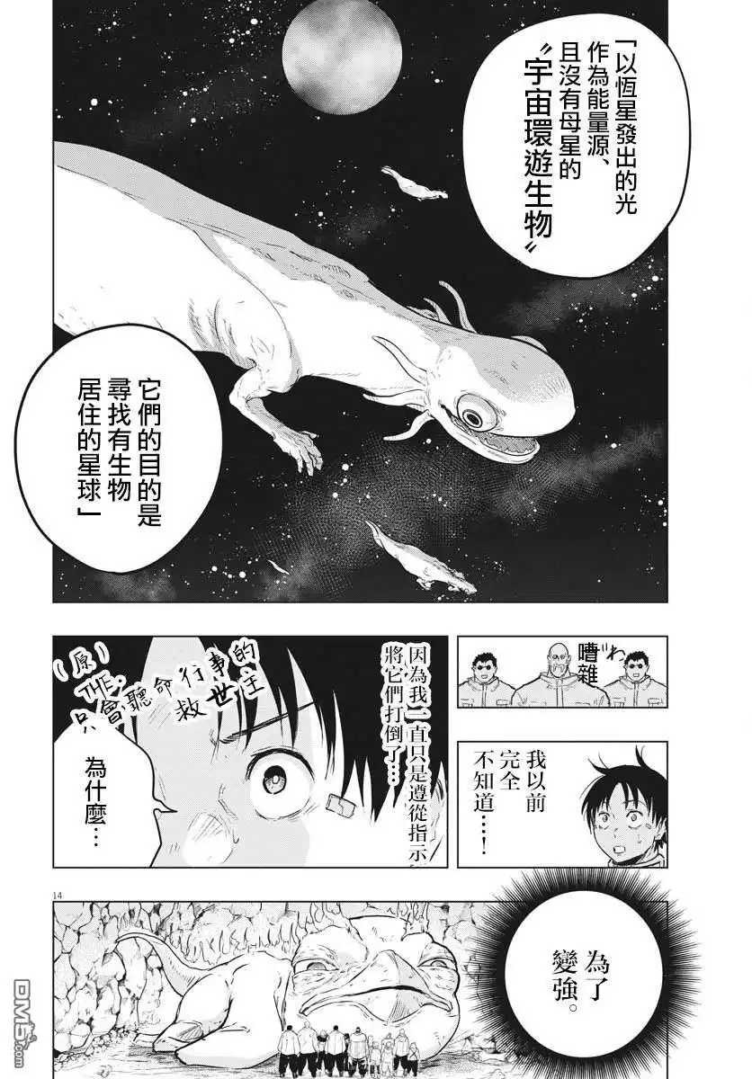 第13页