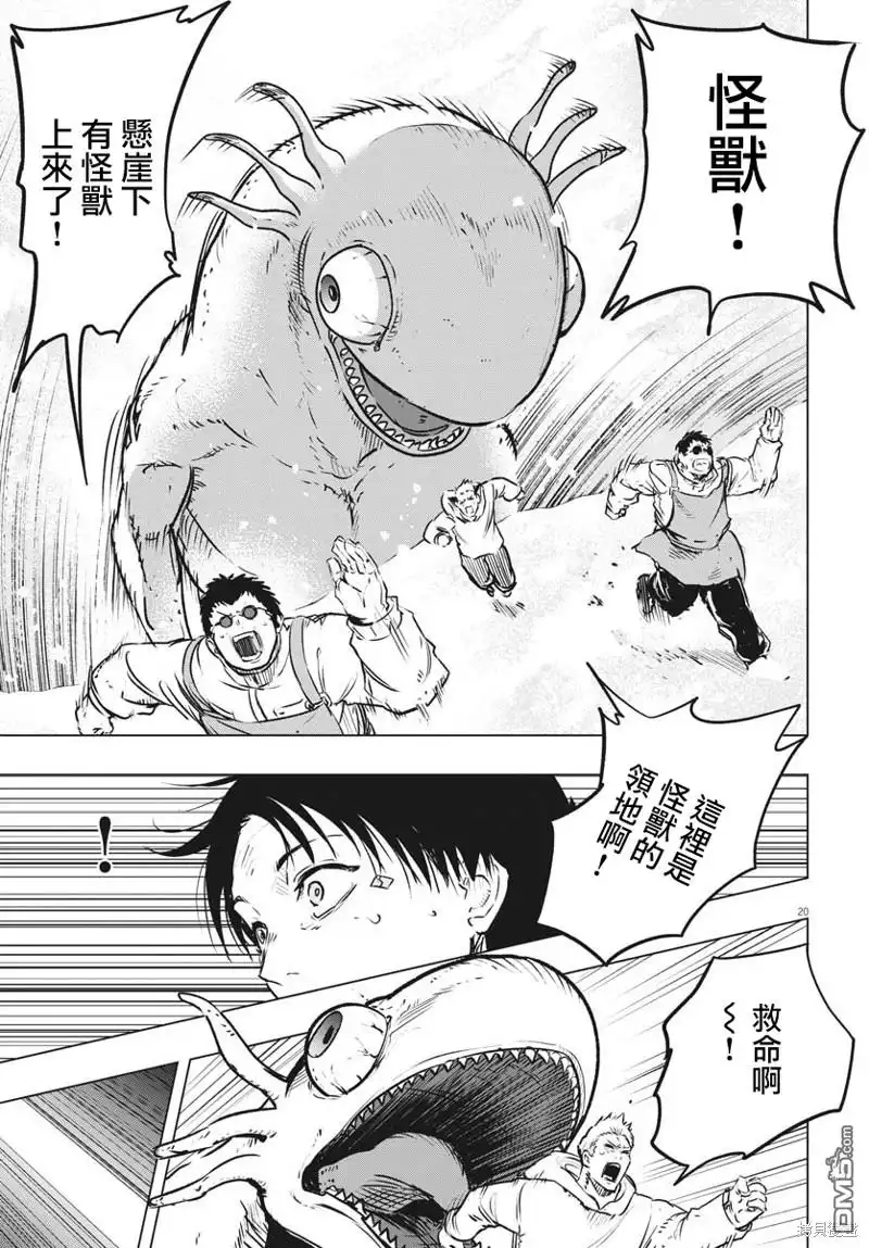 第20页