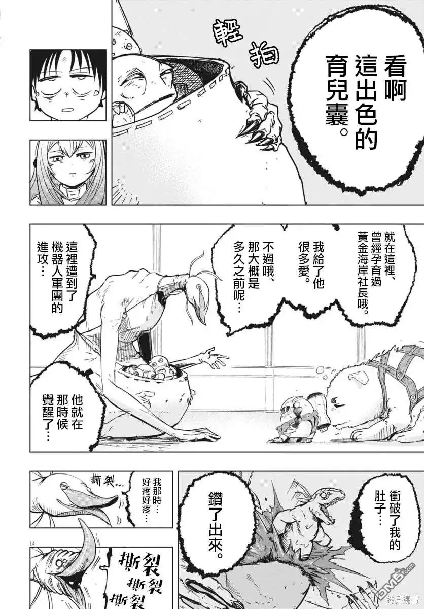 第13页