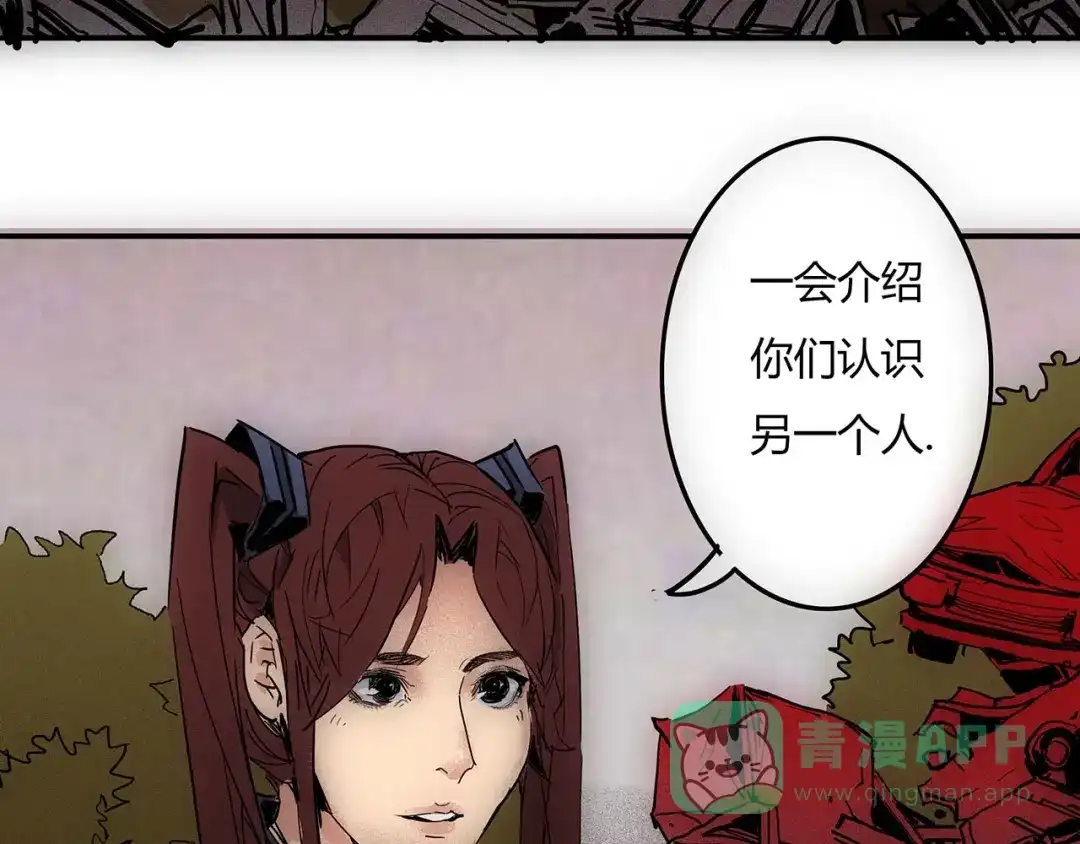 第66页