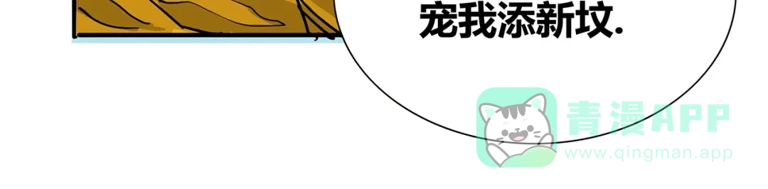 第251页