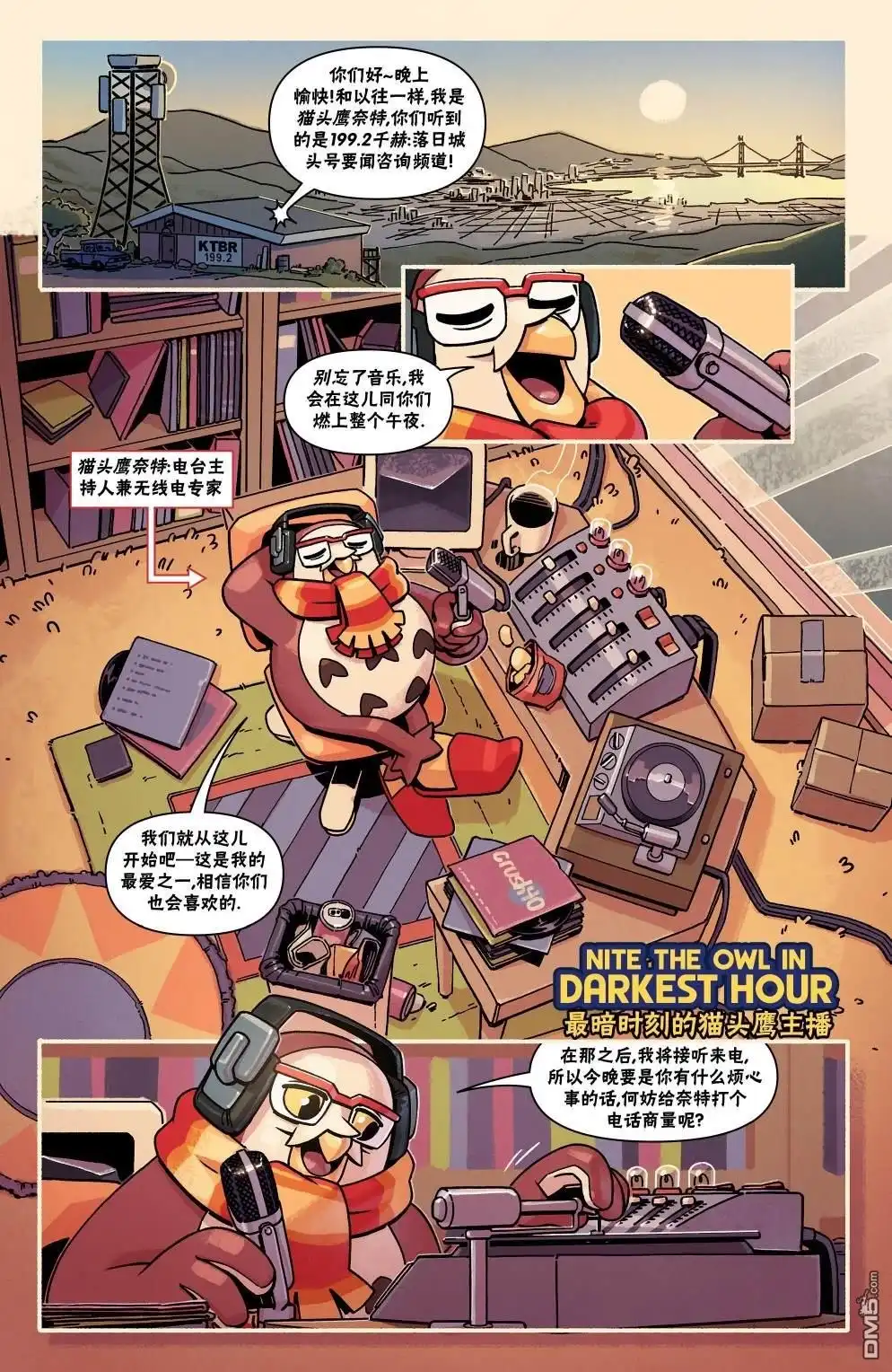 第13页