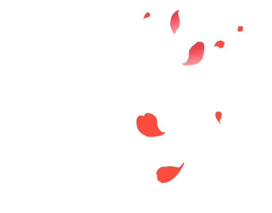 第195页