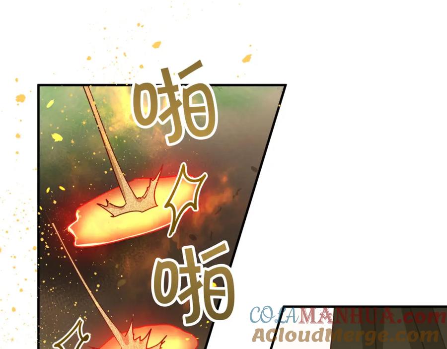 第209页