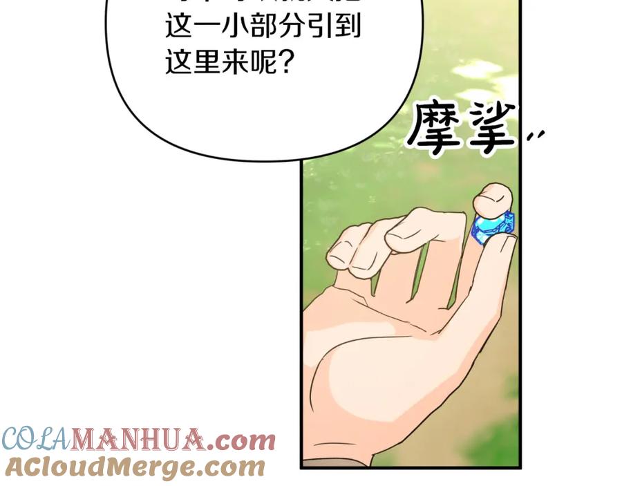 第205页