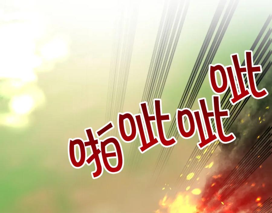 第215页