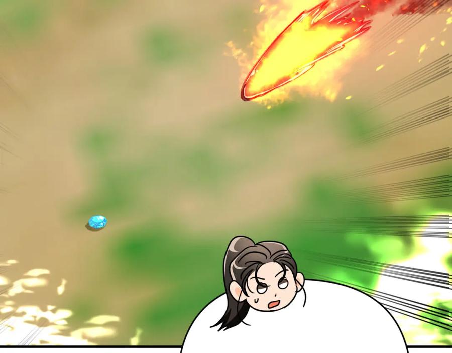 第216页