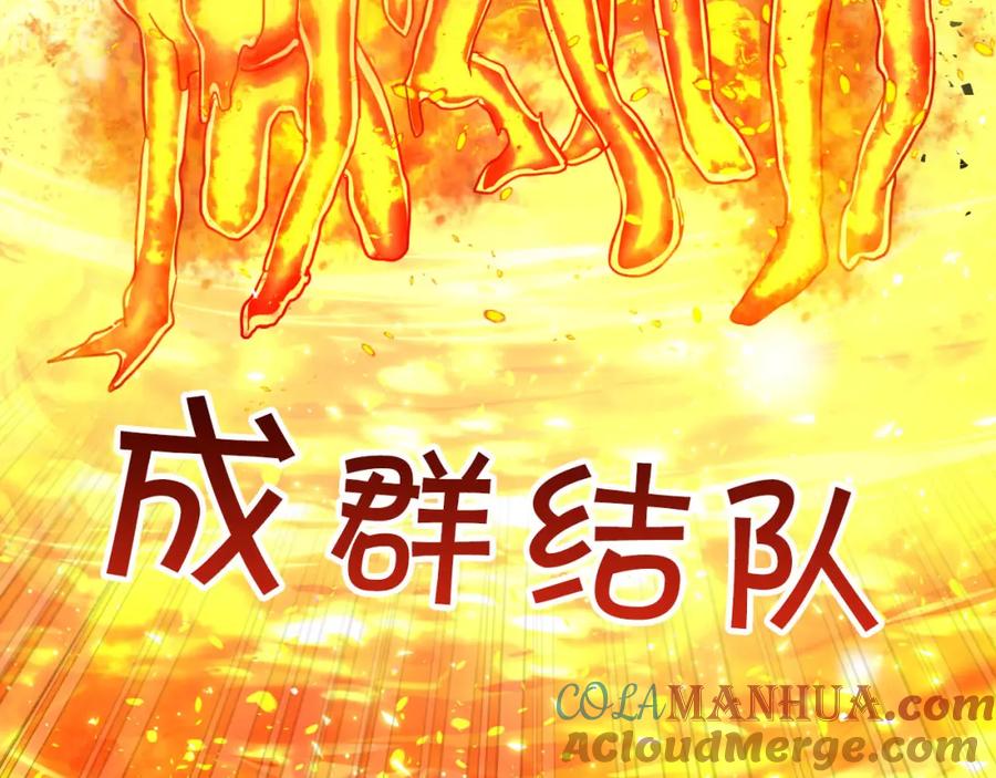 第204页