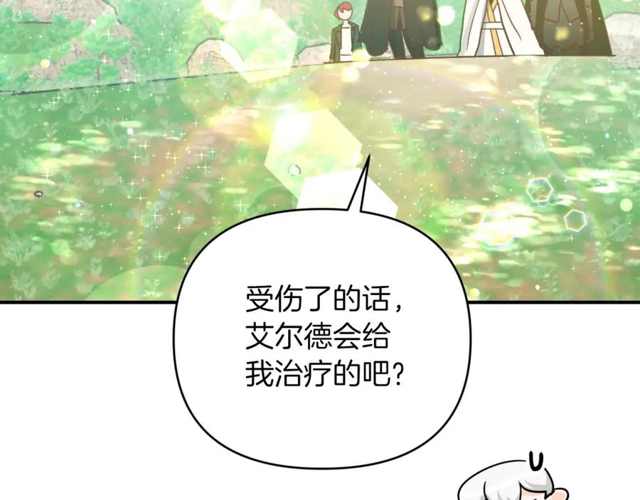 第206页