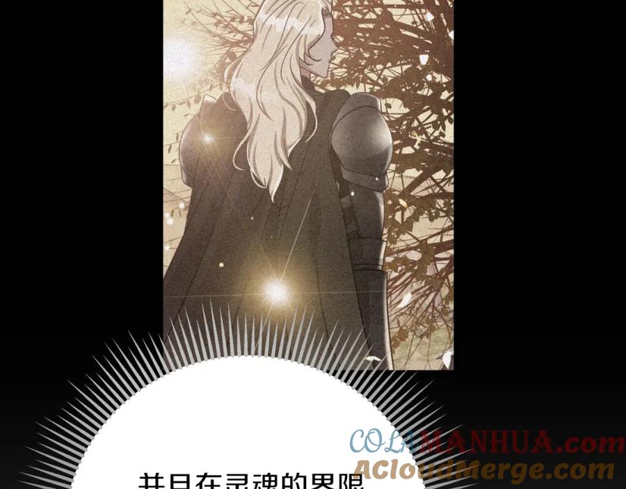 第217页