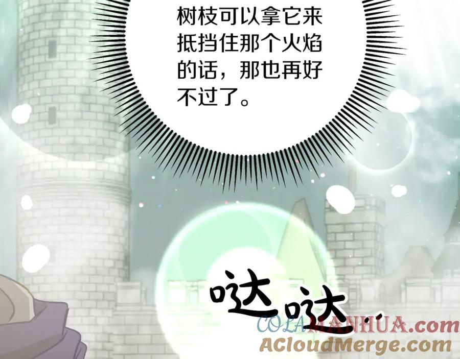 第205页