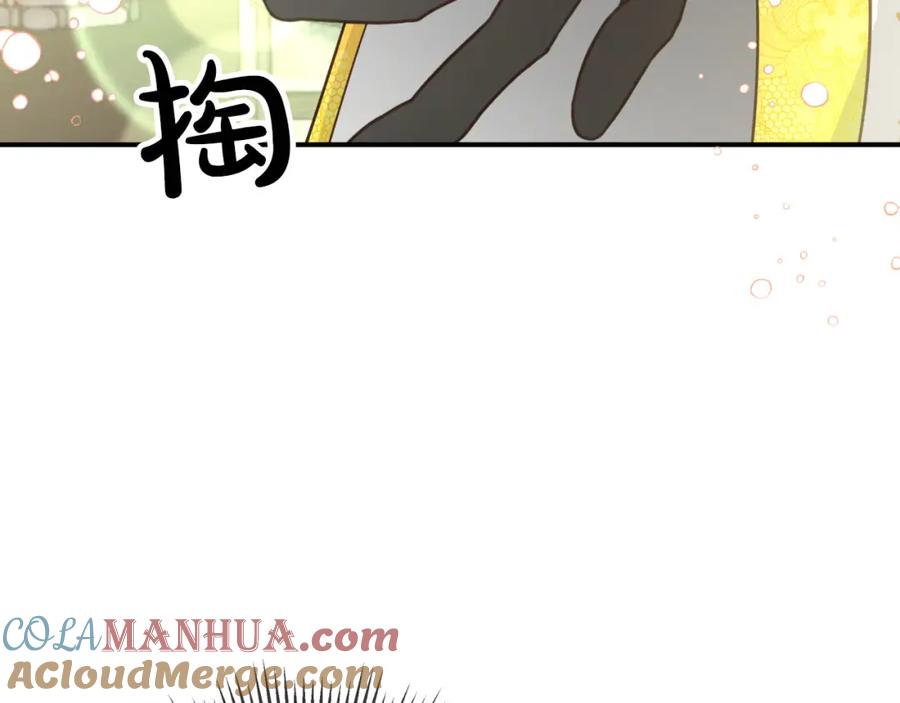 第221页