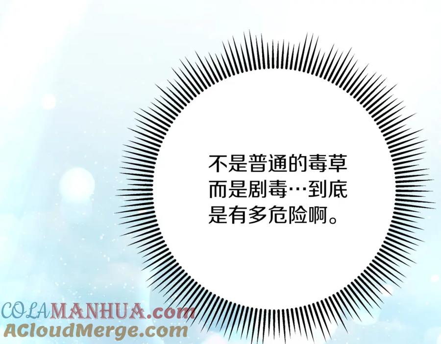 第233页