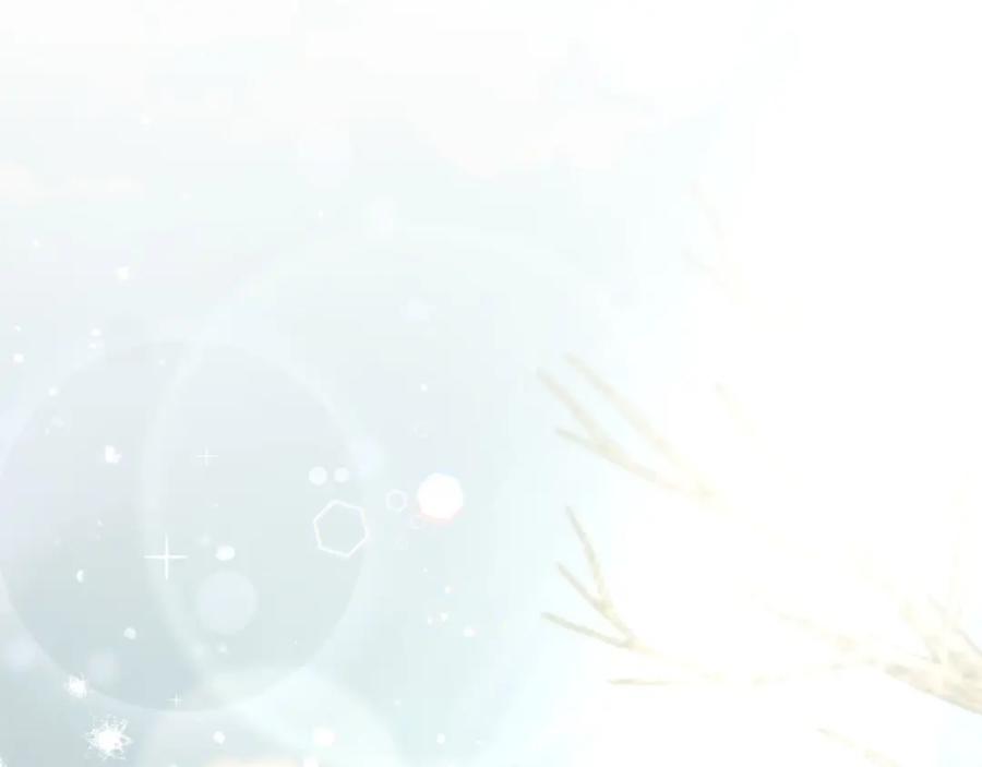 第240页