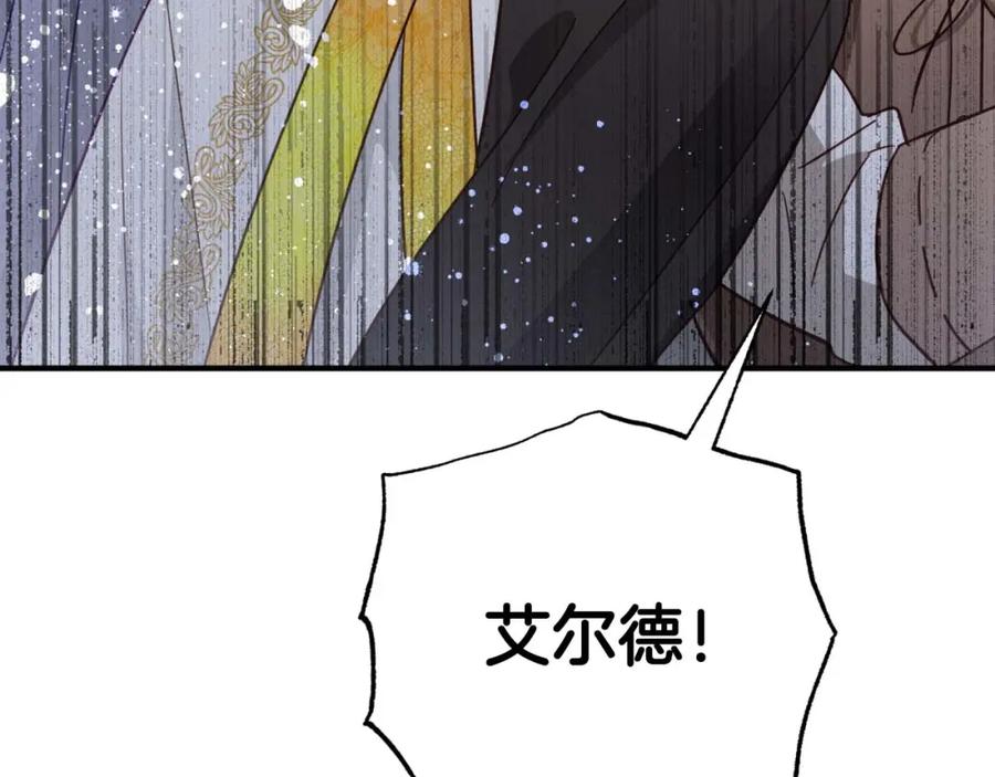 第215页