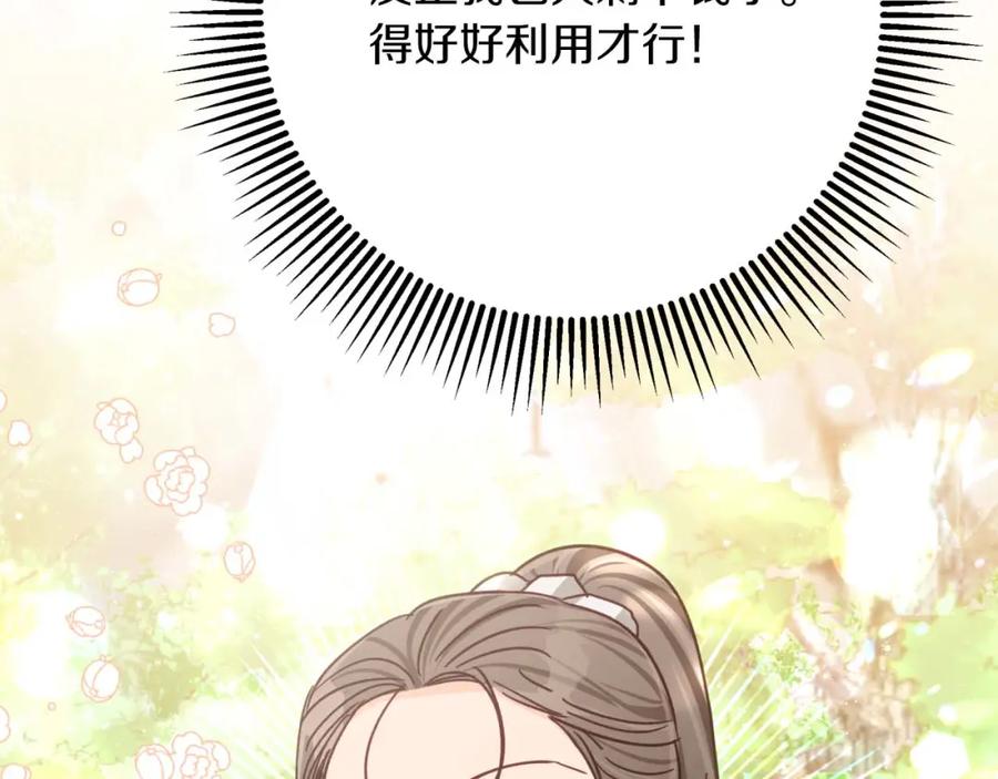 第215页