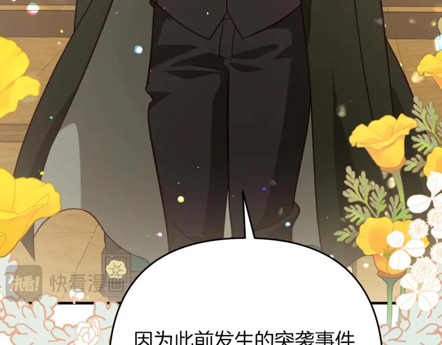第223页