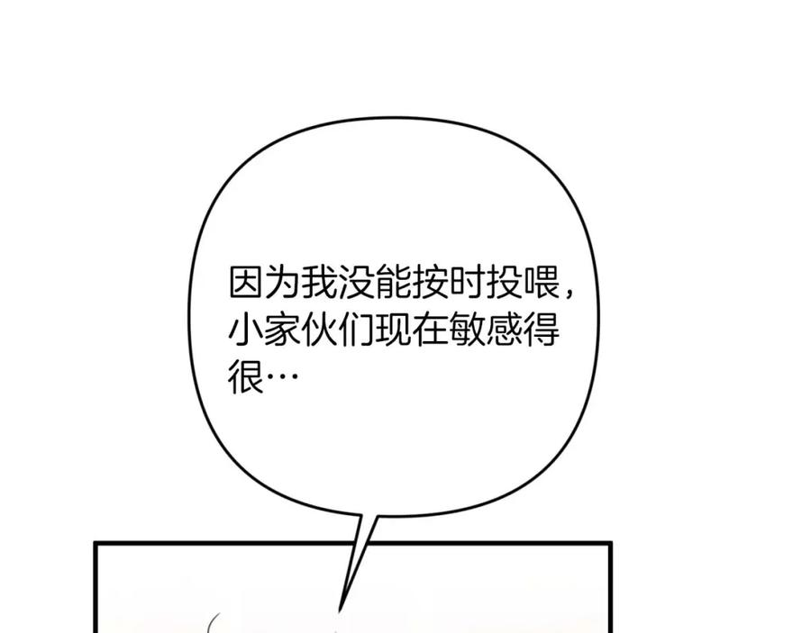 第235页