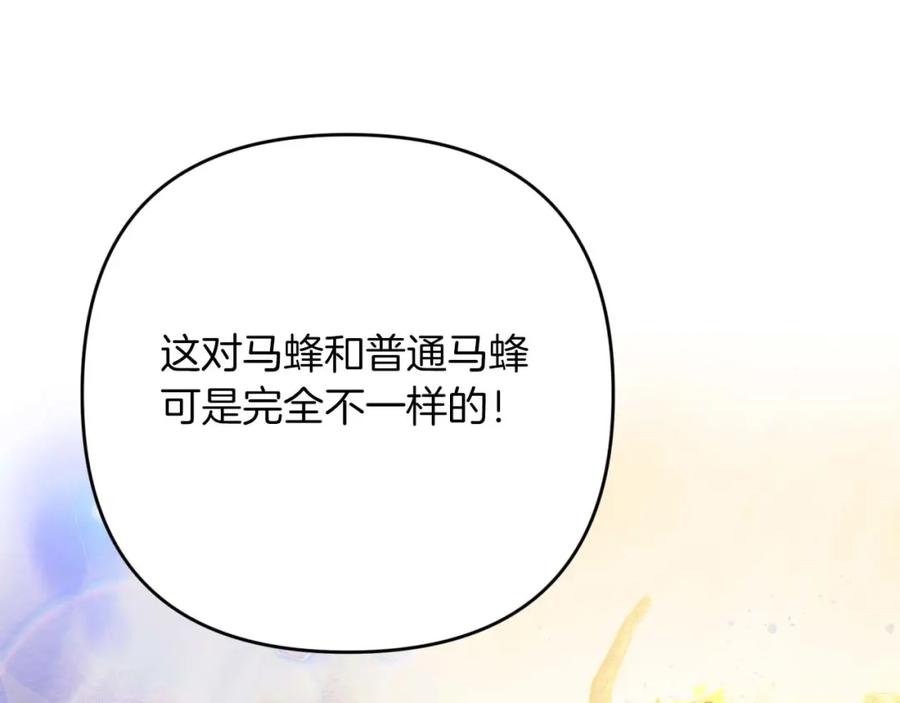 第238页