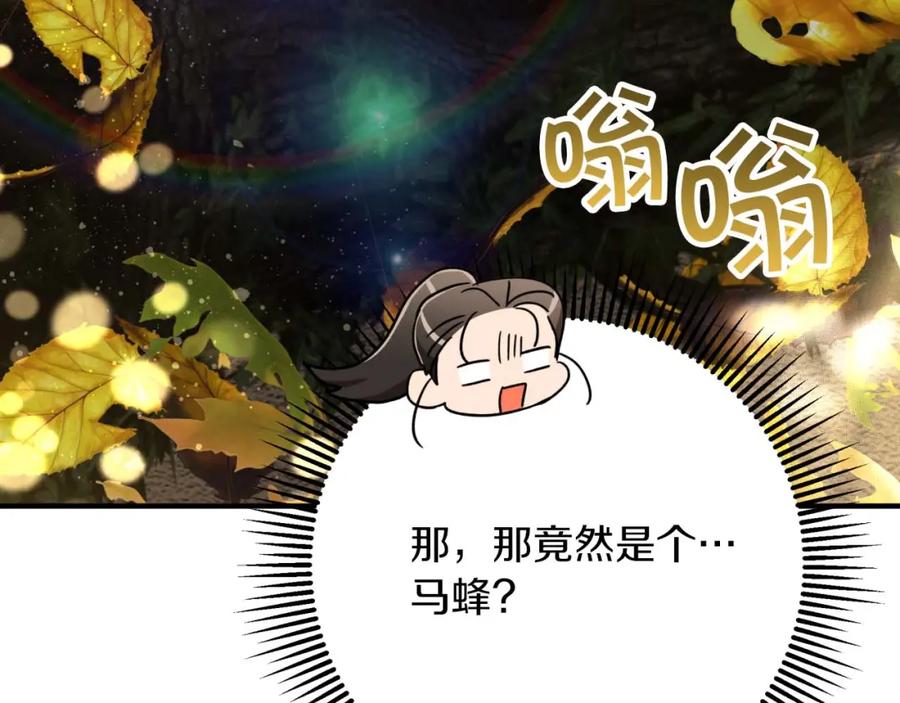 第240页