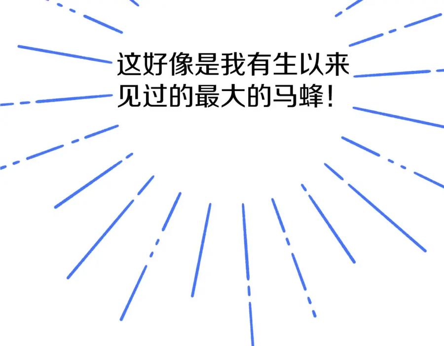第242页