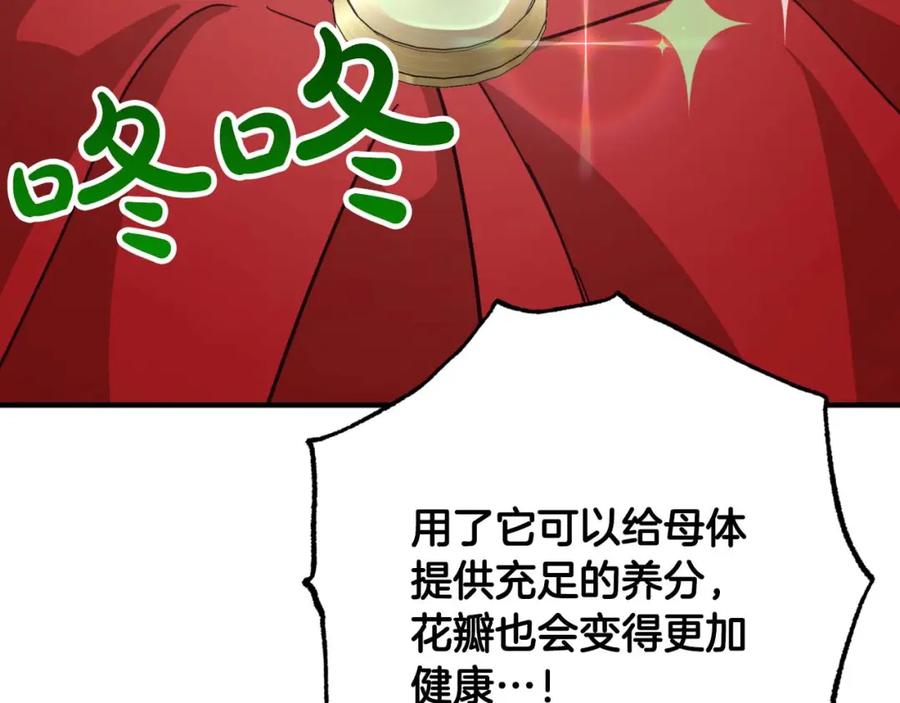 第238页