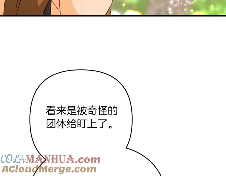 第213页