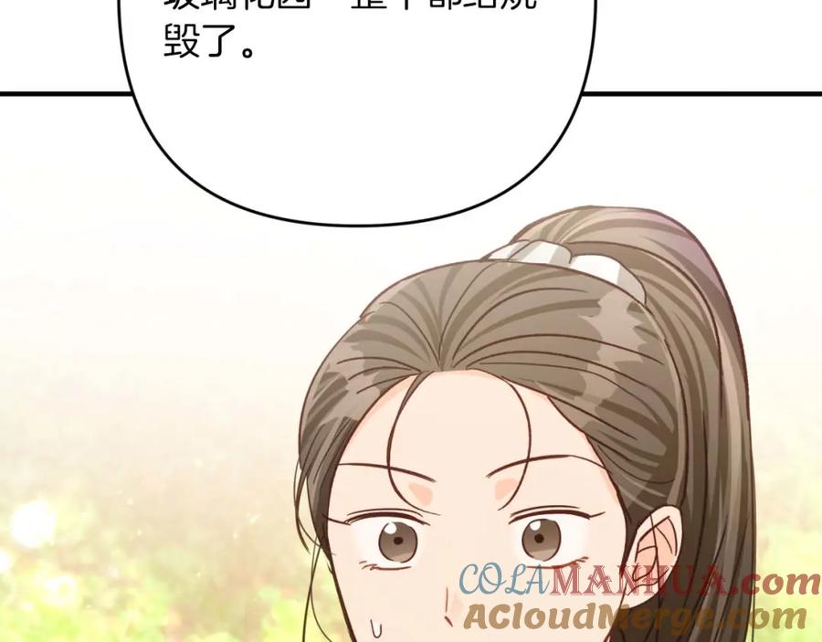第221页