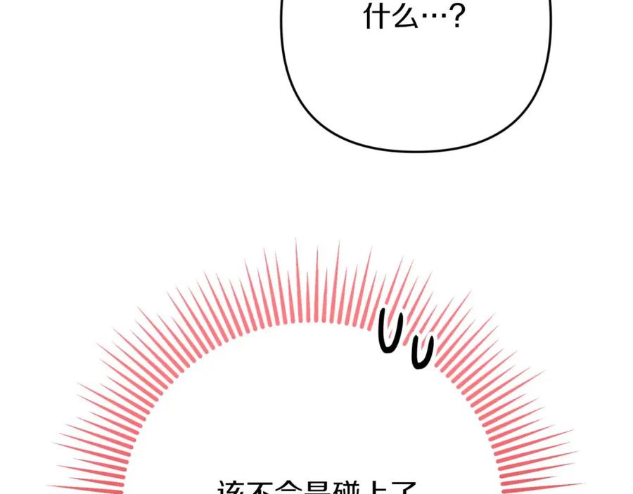 第223页