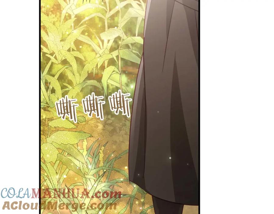 第205页