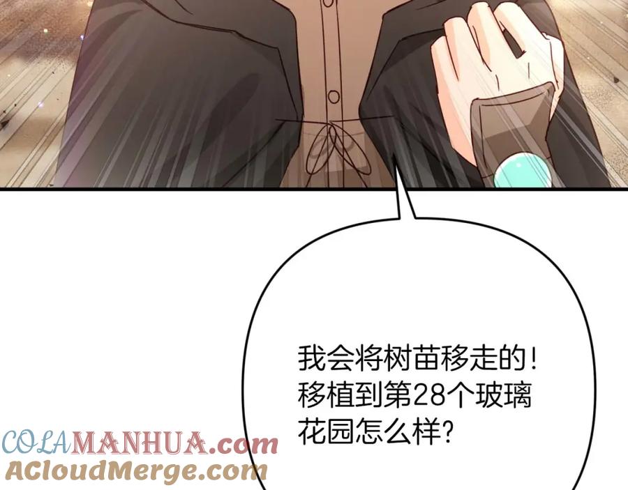 第213页