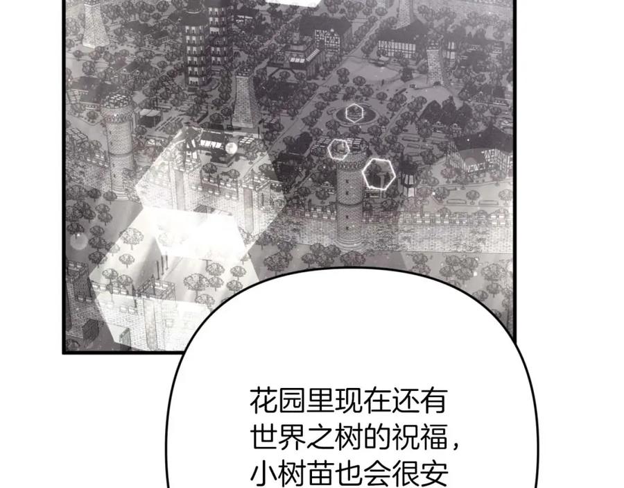 第216页